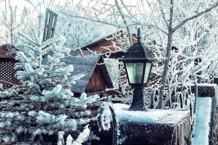 Ниагара, кафе