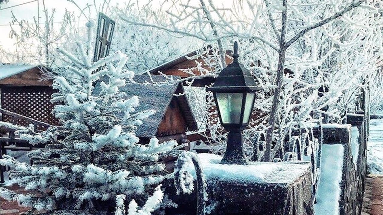Ниагара, кафе