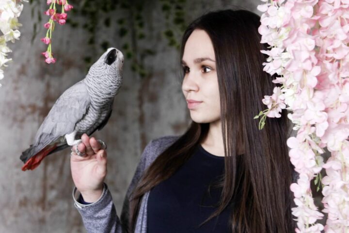 Че Гевара, галерея