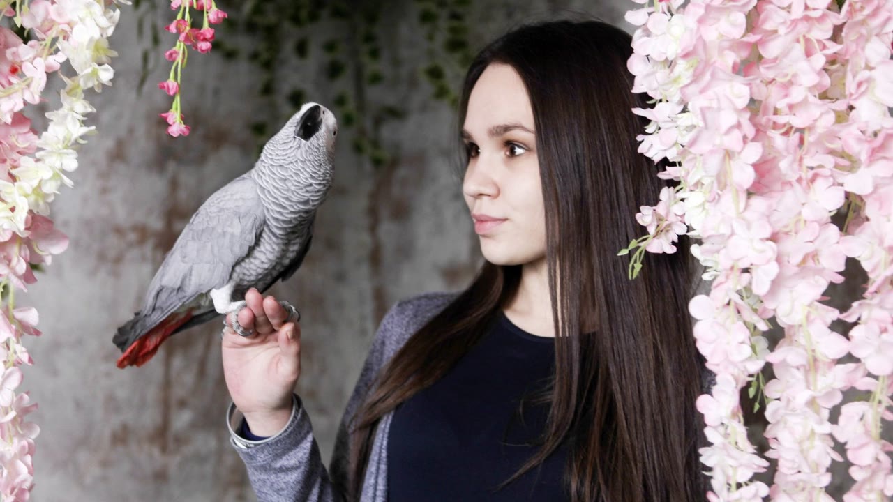 Че Гевара, галерея