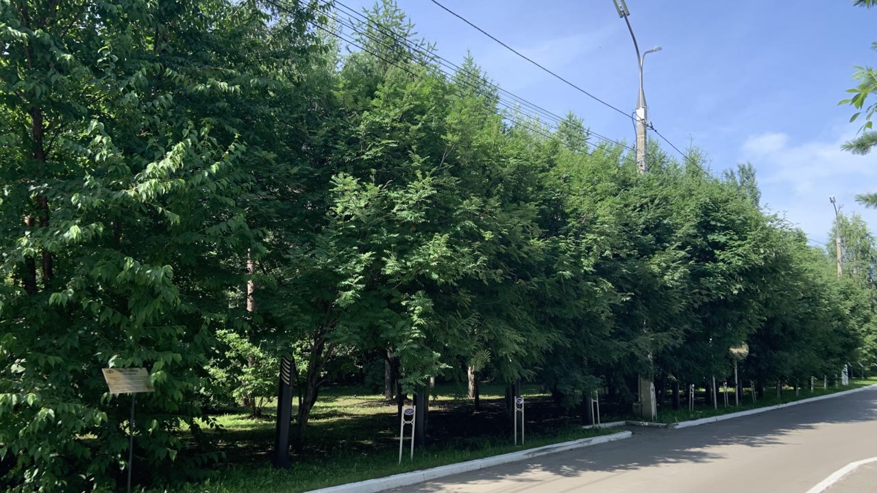 Аллея Дружбы МНТК