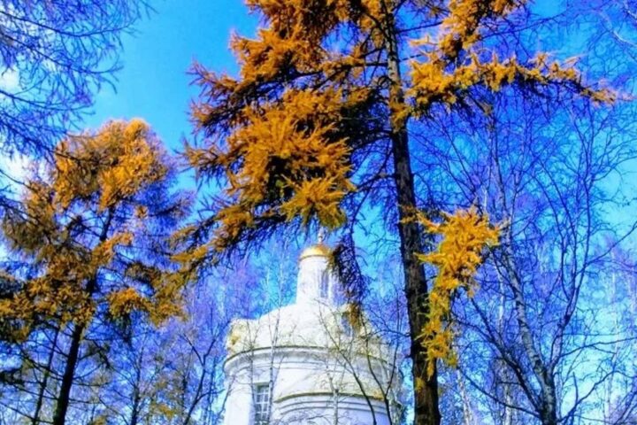 Лисихинский парк
