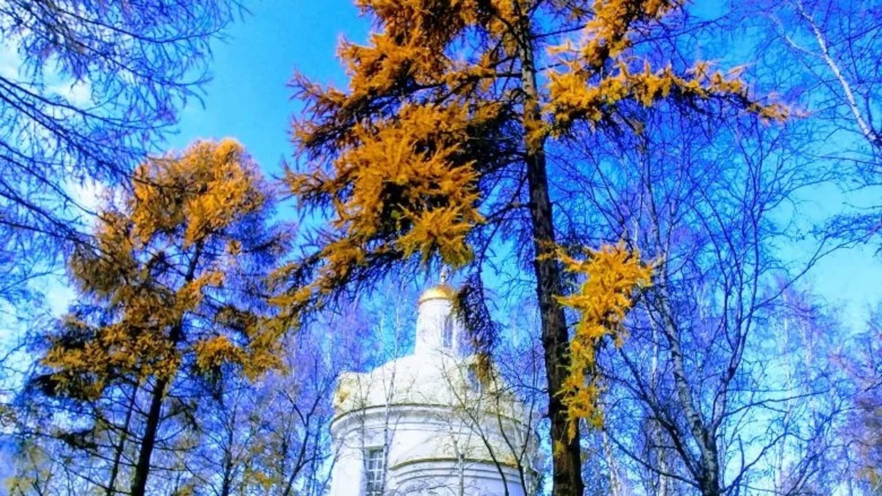 Лисихинский парк