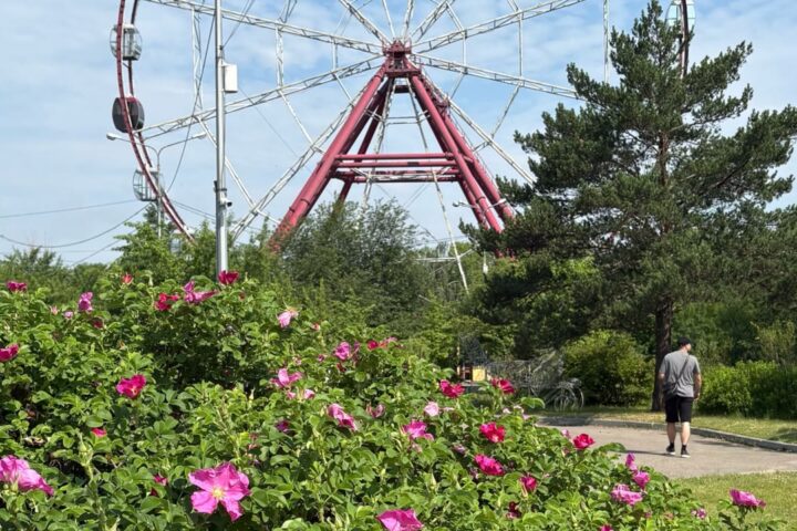 Остров Малый Конный, парк