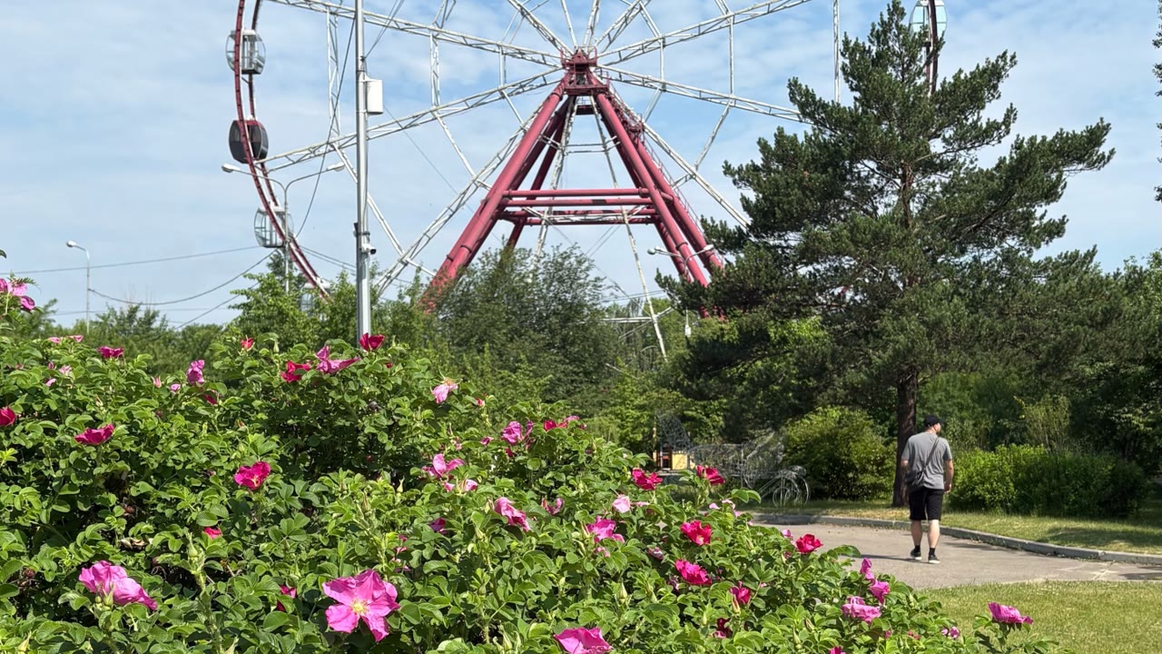 Остров Малый Конный, парк