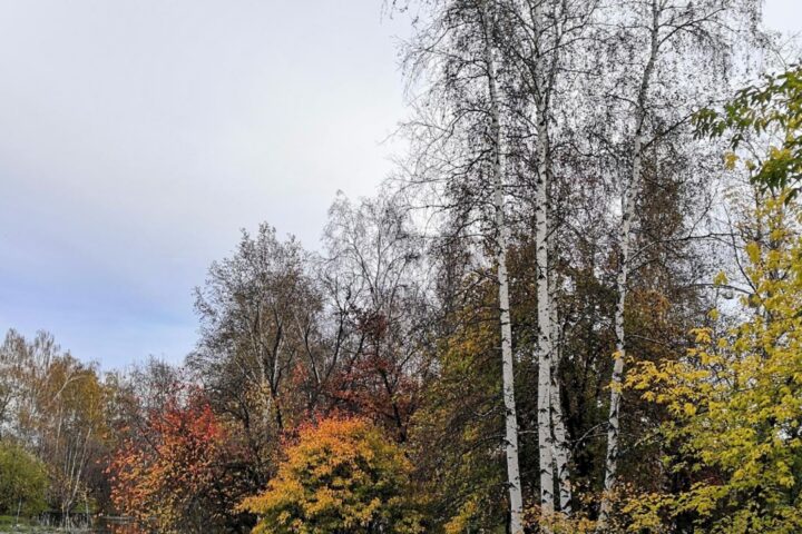 Остров Юность, парк