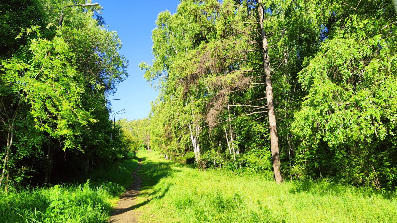 Парк Академгородка