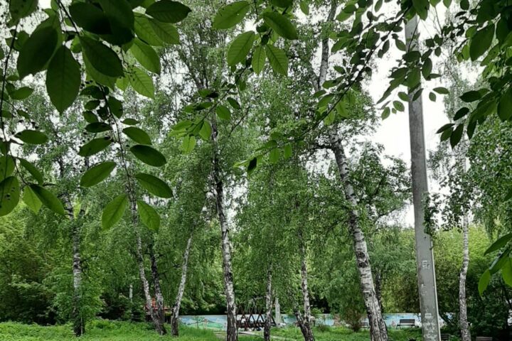 Пушкинский сквер