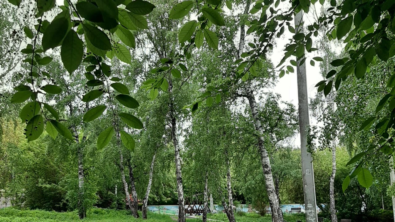 Пушкинский сквер