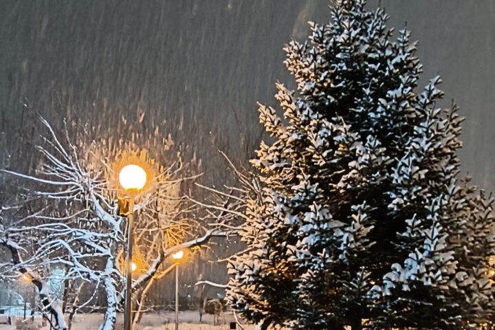 Сквер Иркутск-Сити