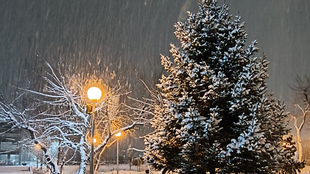 Сквер Иркутск-Сити