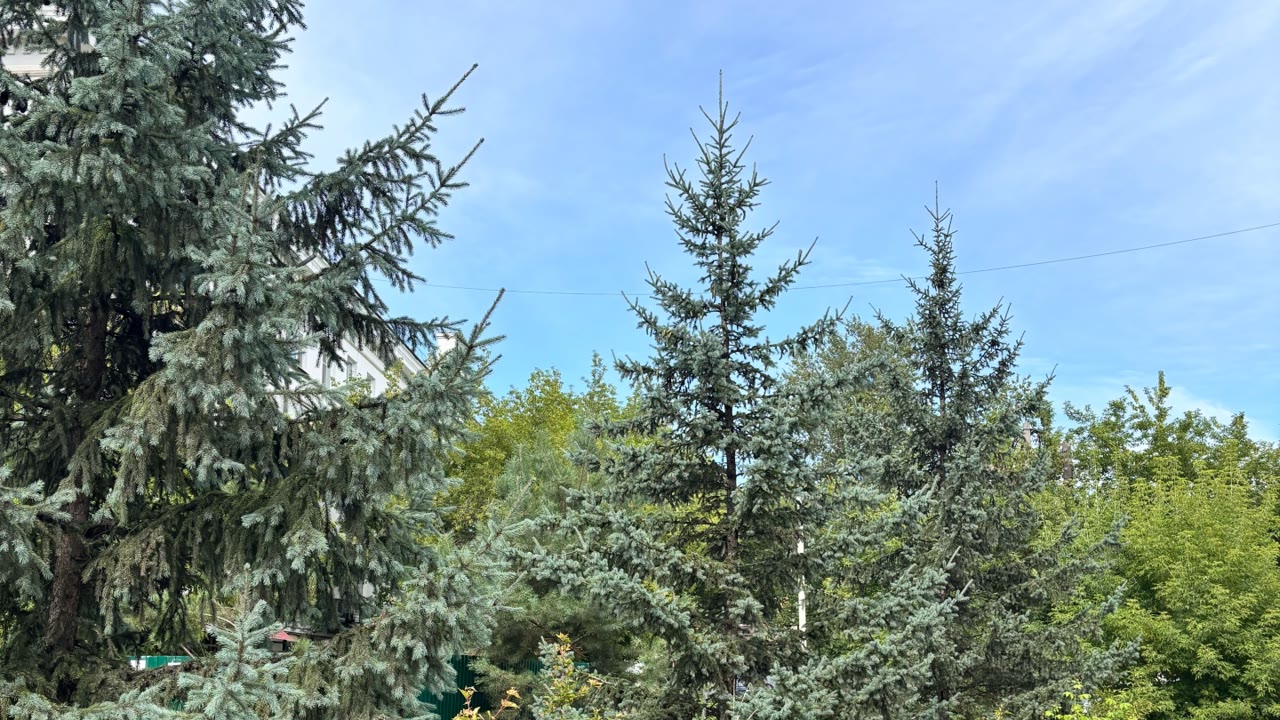 Сквер Чеховский дворик