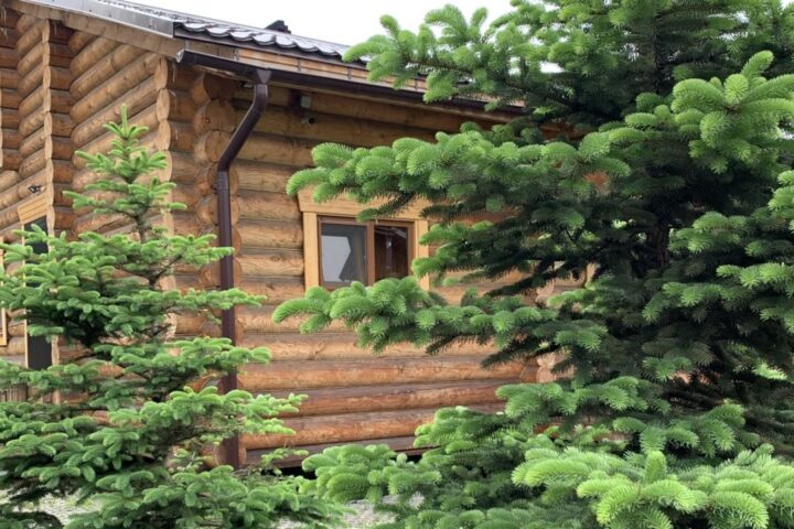 Поляна, русская баня