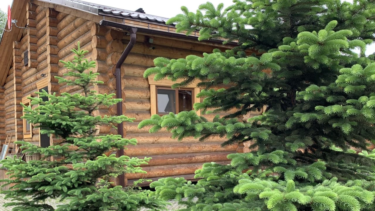 Поляна, русская баня