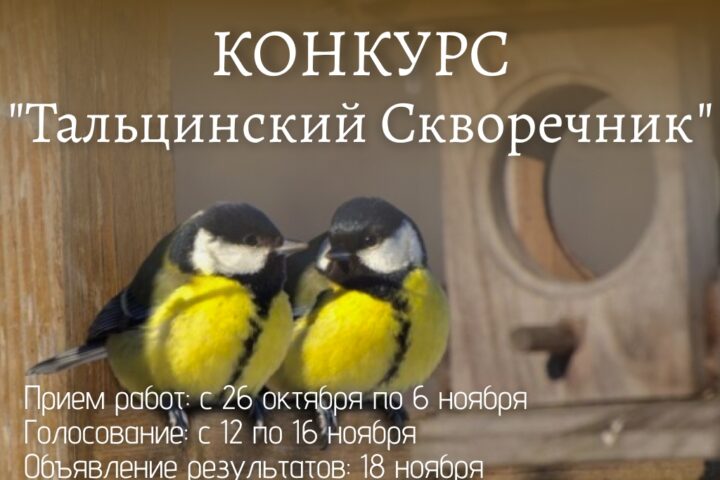 ️Конкурс «Тальцинский Скворечник«️ — 12 ноября, Краеведческий музей им. Н.Н. Муравьева-Амурского, музейная студия, Иркутск