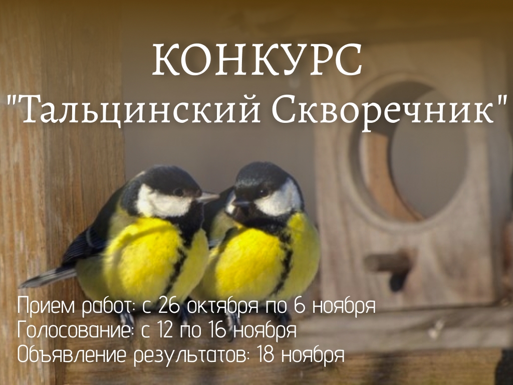 ️Конкурс «Тальцинский Скворечник«️ — 12 ноября, Краеведческий музей им. Н.Н. Муравьева-Амурского, музейная студия, Иркутск