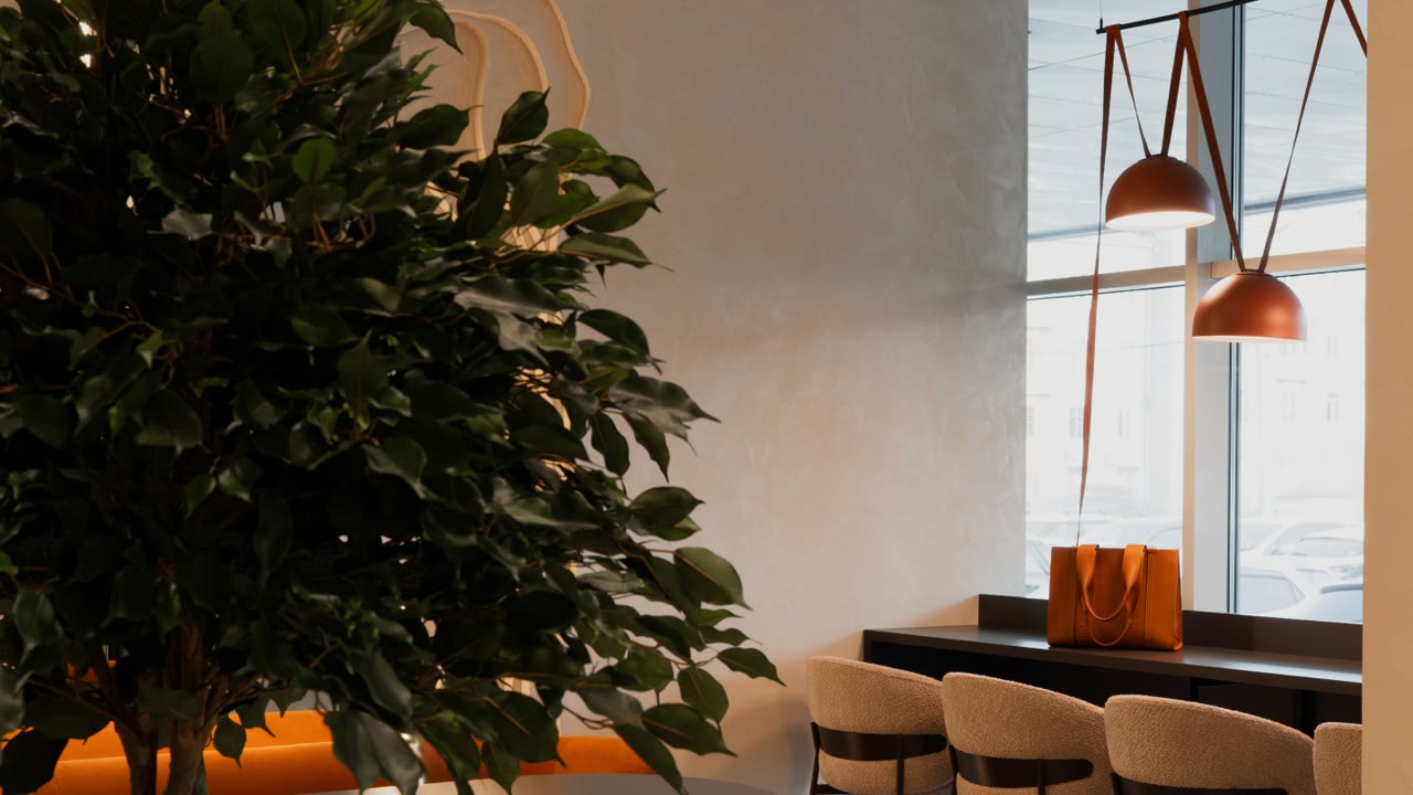 Инспекция кофе, кофейня