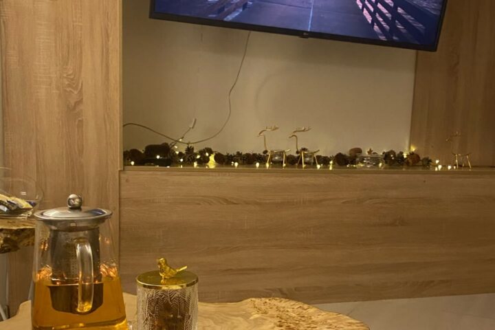 Altai SPA, оздоровительный центр