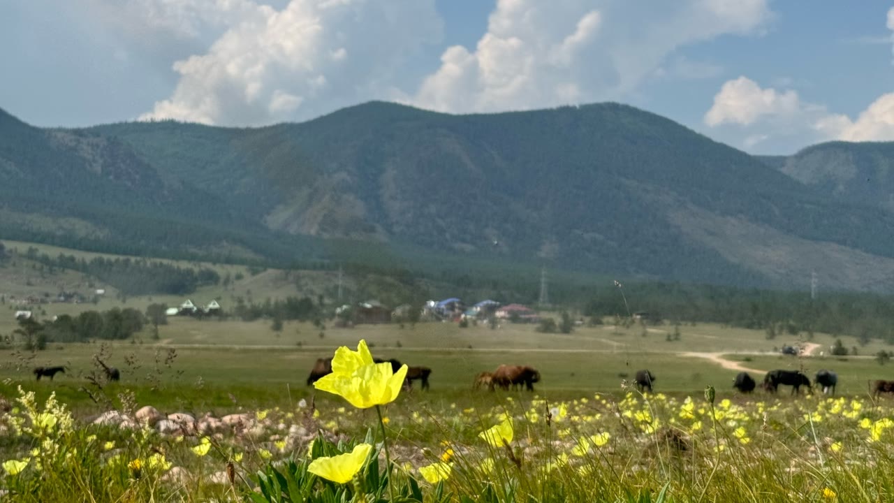 Yo Camp, детский лагерь