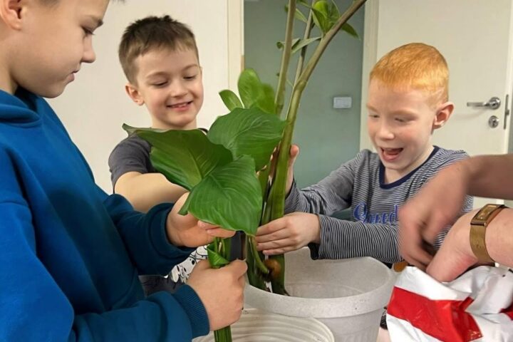 Маленький гений, детский центр комплексного развития