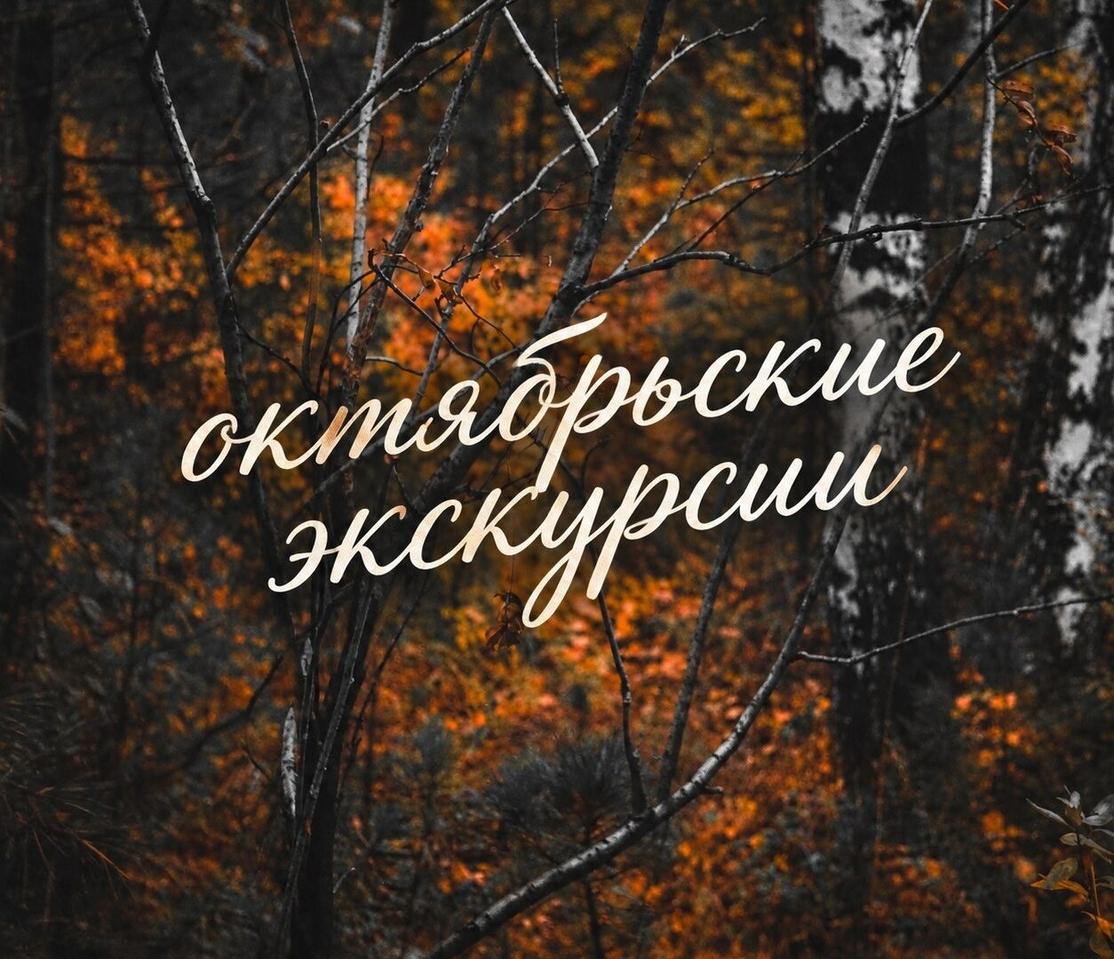 Экскурсии в октябре — 30 октября в 11:30, Краеведческий музей им. Н.Н. Муравьева-Амурского, отдел истории, Иркутск